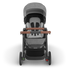UPPAbaby Cruz V3 Stroller Greyson
