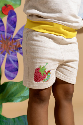 the-very-hungry-caterpillar