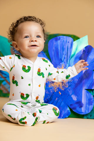 the-very-hungry-caterpillar