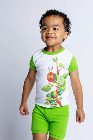 eric-carle-the-very-hungry-caterpillar