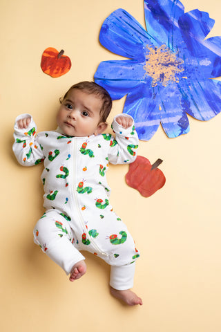 the-very-hungry-caterpillar