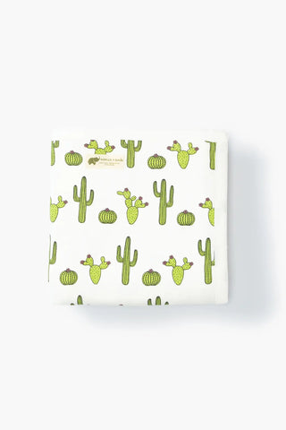 santa-fe-cactus