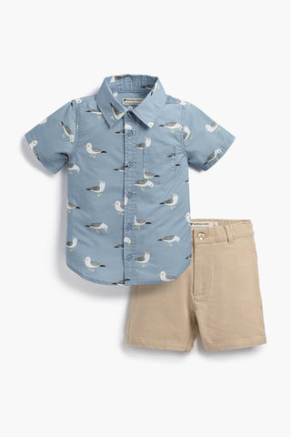 Oxford Shirt + Old Sport Short Outfit_Soaring Seagulls