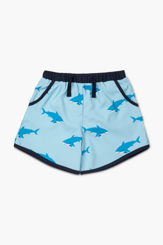 swimming-sharks