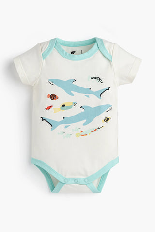 swimming-with-sharks