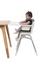 Nuna ZAAZ High Chair in Frost