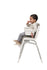 Nuna ZAAZ High Chair in Frost
