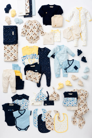 tiny-blue-dino-delight