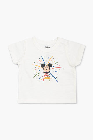 d100-mickey-mouse-on-white