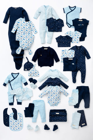 tiny-blue-dino-delight