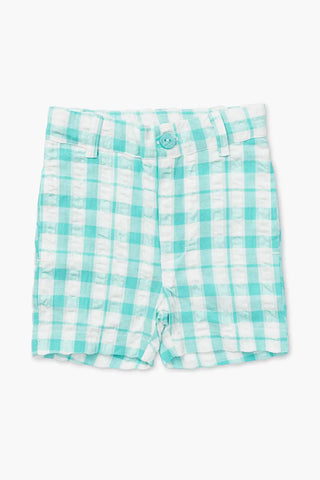 mint-gingham