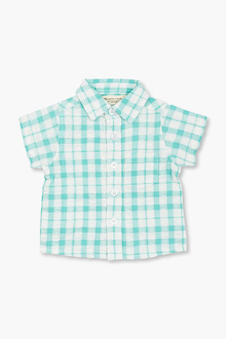 mint-gingham