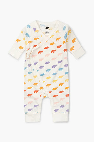 rainbow-ombre-elephant