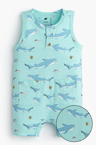 swimming-with-sharks