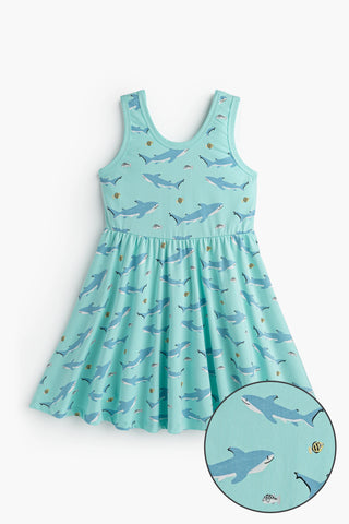 swimming-with-sharks