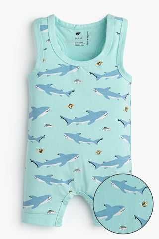 swimming-with-sharks