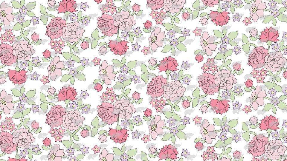 Sip and See Virtual Backgrounds